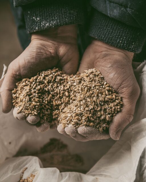 👀 Le saviez-vous ?
La distillation est un savoir-faire ancestral qui consiste à séparer et concentrer les arômes grâce à la chaleur. Une technique maîtrisée par les distillateurs depuis des siècles.
📷 @studio_fegari
#fabriqueenaveyron #fabriqueenfrance #fabricationartisanale #fabricationfrancaise #artisanatfrancais #madeinfrance #Aveyron #savoirfaire #savoirfairefrançais #distillerie