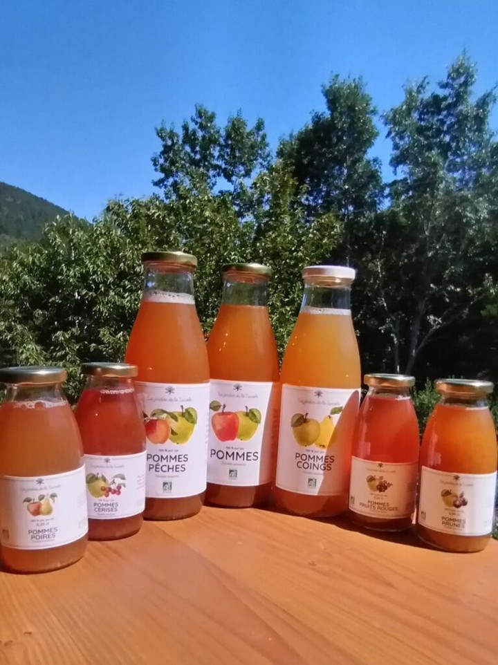 Les Jardins de Luciole est une ferme à la fois agricole et artisanale située à Saint Jean du Bruel. Ils cultivent leur verger pour offrir une variété de produits, allant des jus de pomme à la farine de pomme. Sensibles aux enjeux environnementaux, ils suivent une démarche éco-responsable certifiée par l’agriculture biologique. 🍏

#fabriqueenaveyron #fabriqueenfrance #fabricationartisanale #fabricationfrancaise #artisanatfrancais #madeinfrance #Aveyron #savoirfaire #savoirfairefrançais #verger #agriculture #pommes