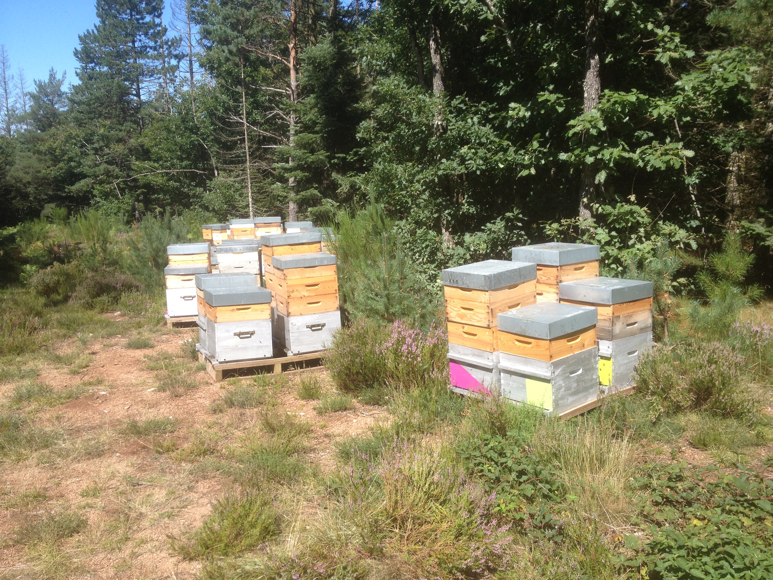 LACROIX JEAN-MARC – Apiculteur