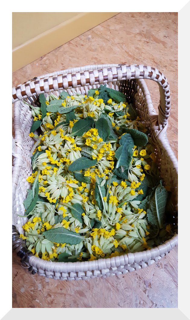 LES UCA’FOLLES HERBES