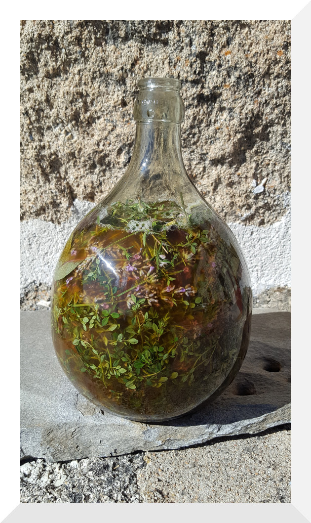 LES UCA’FOLLES HERBES